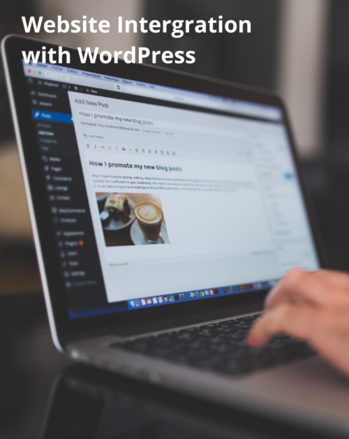 HubSpot : Website integration with WordPress